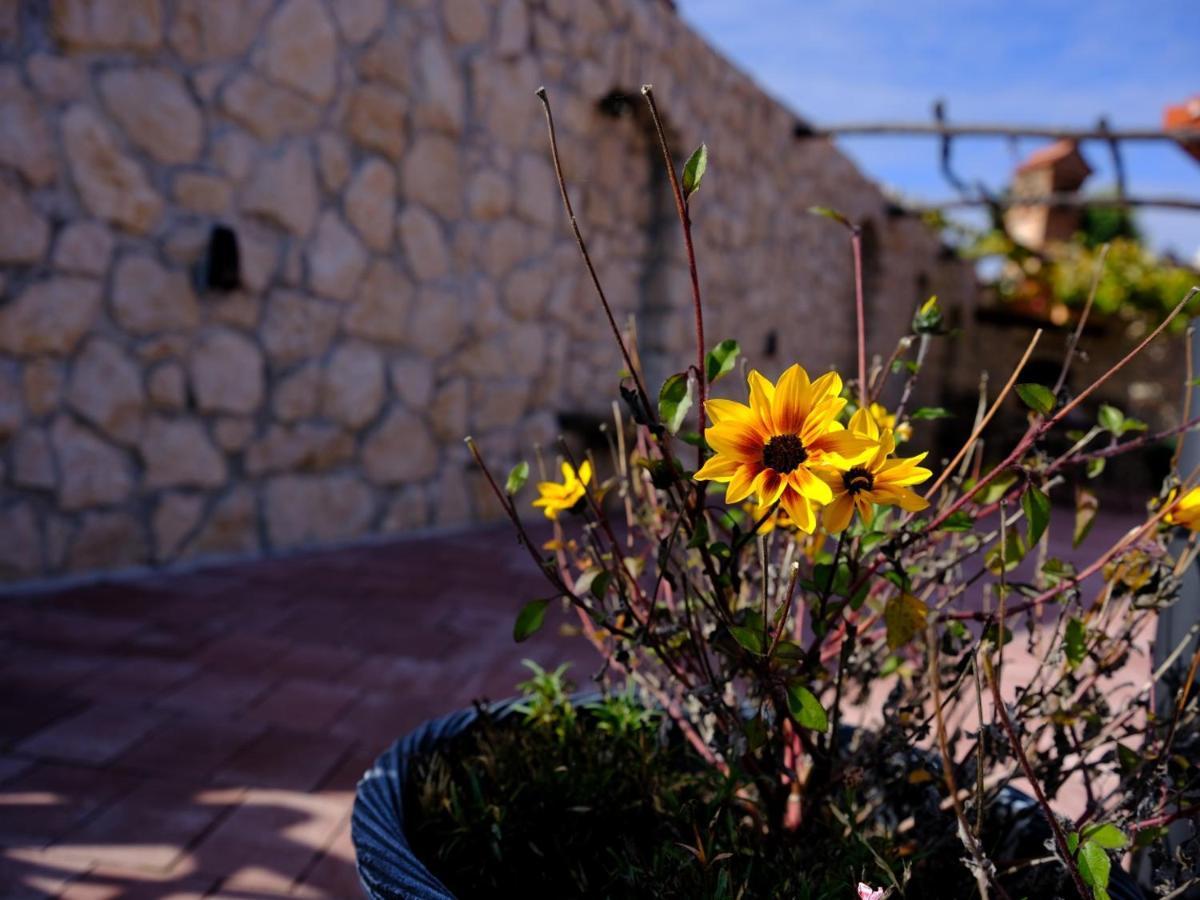 Appartamento Secret Wellness Bodonci Esterno foto